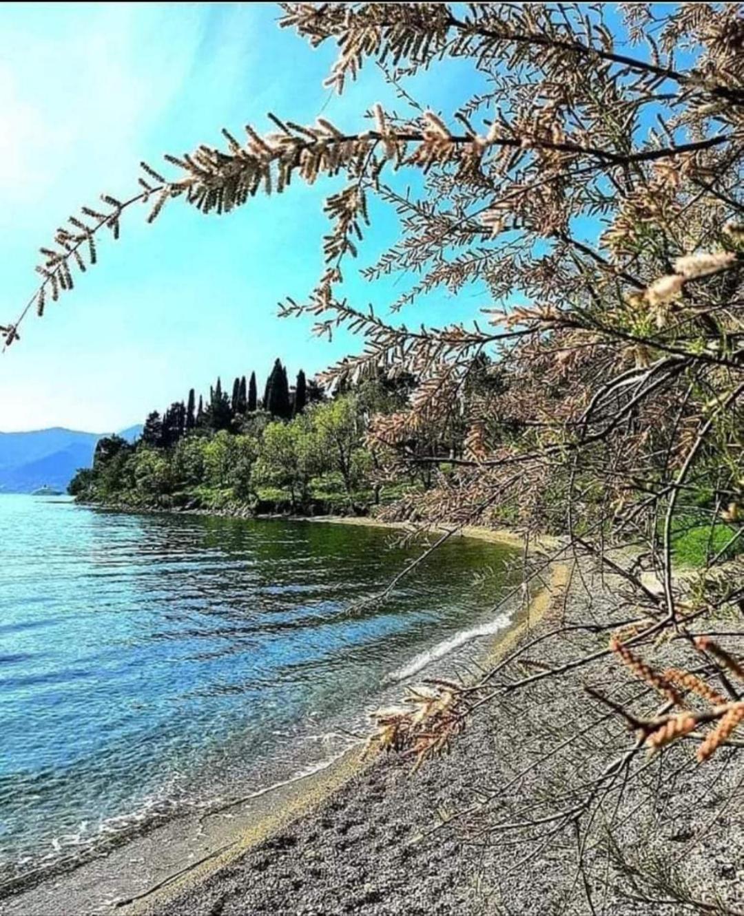 Apartmani Bekonja Tivat Exteriör bild